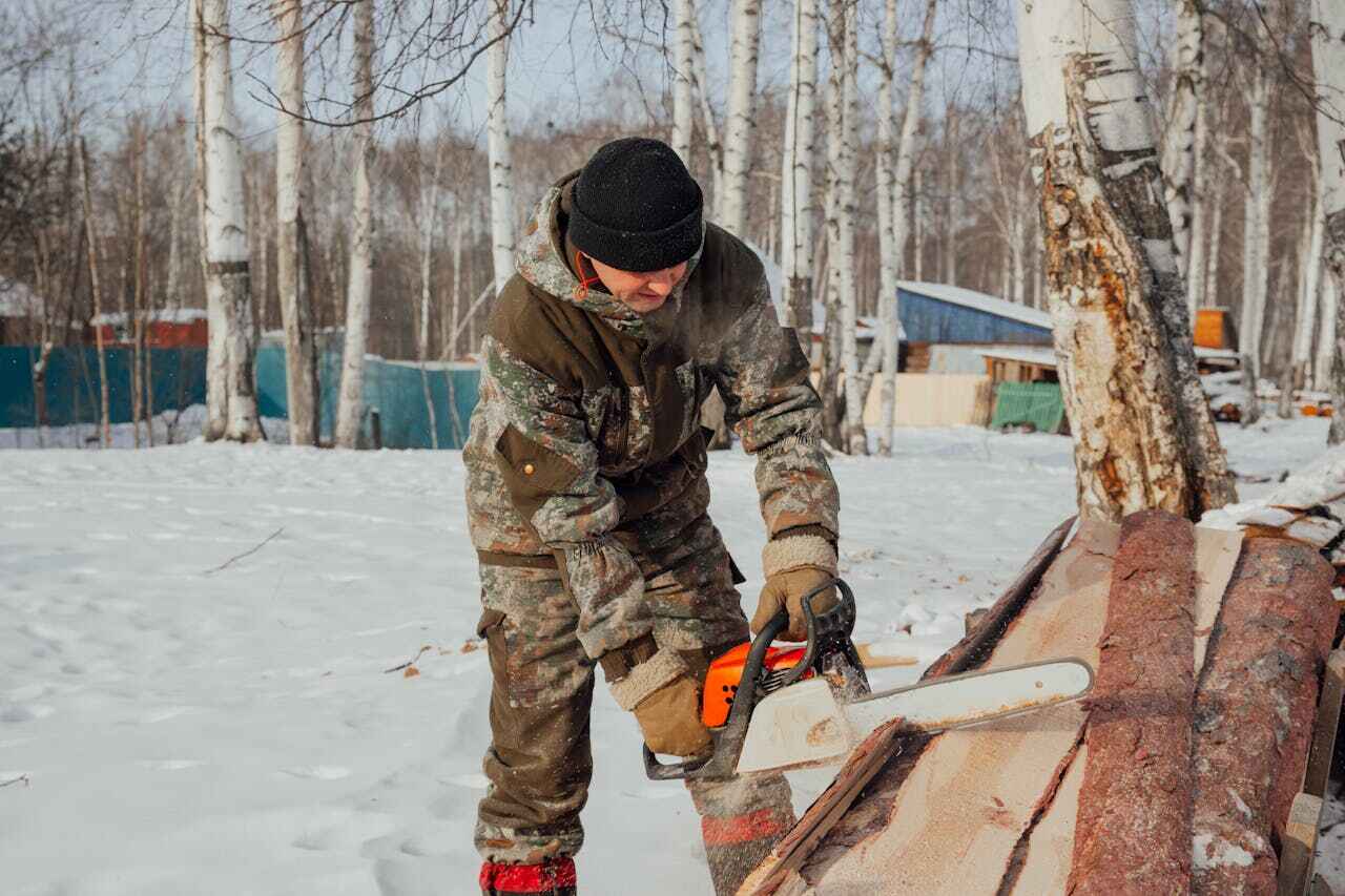 Best Tree Stump Removal  in Morgantown, PA